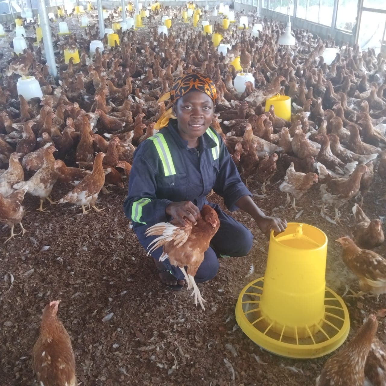 Empowering women in agriculture