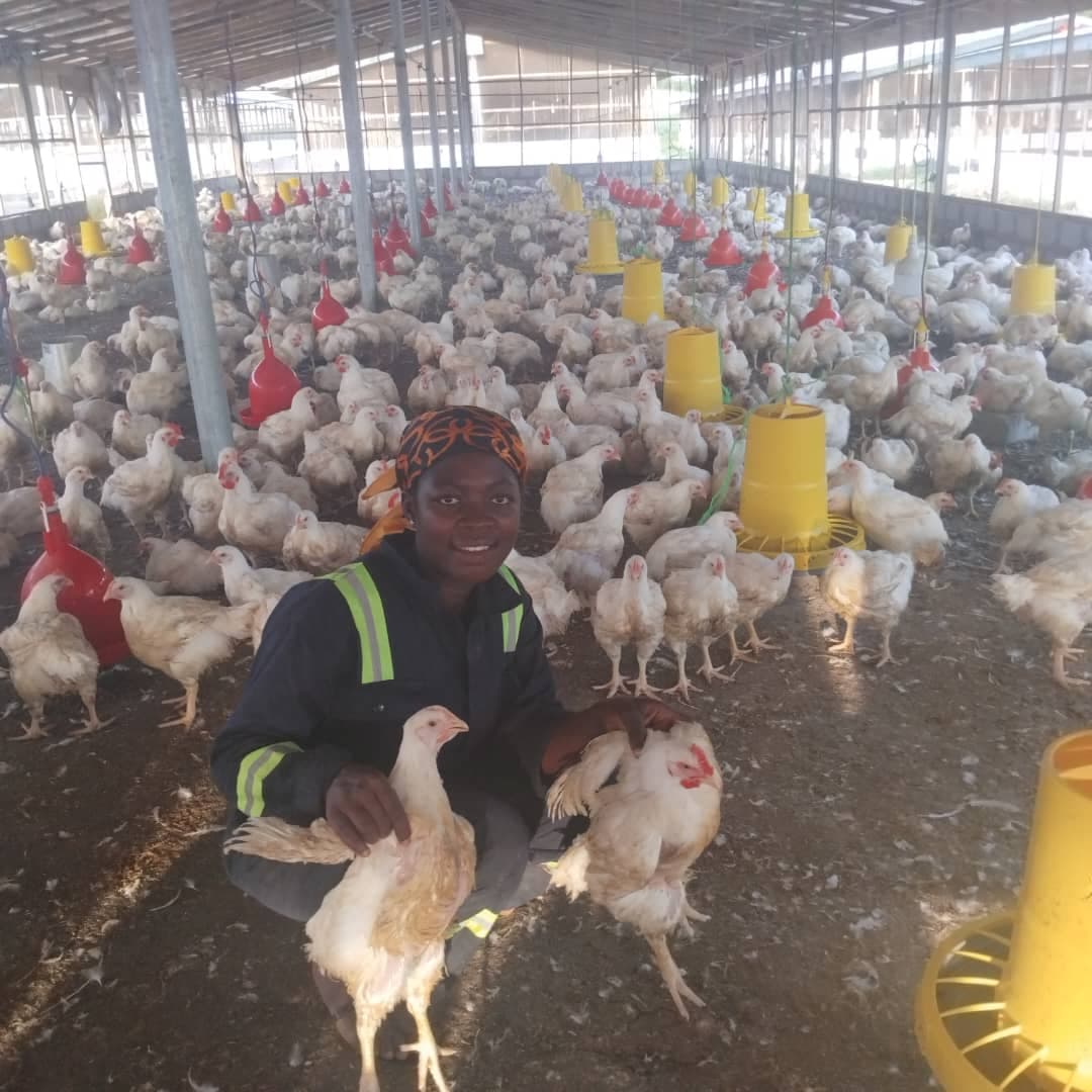  Bulk Purchases and Market Linkages